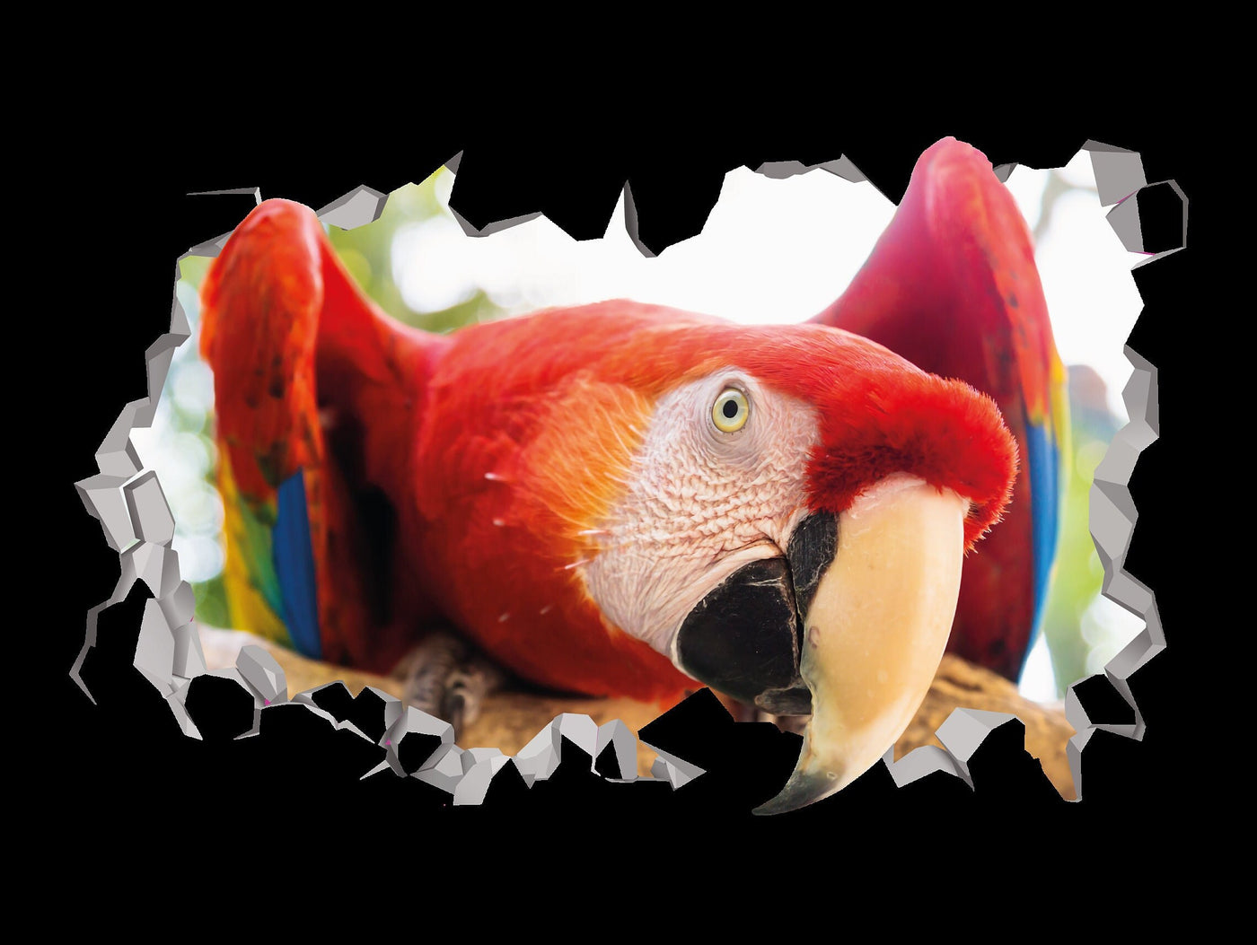 Macaw Wall Decal - Macaw Sticker - Macaw Red and Yellow - Macaw Scarlet Charm - Macaw Ornament - Macaw 3d Art Decor - Macaw Animal Tropical